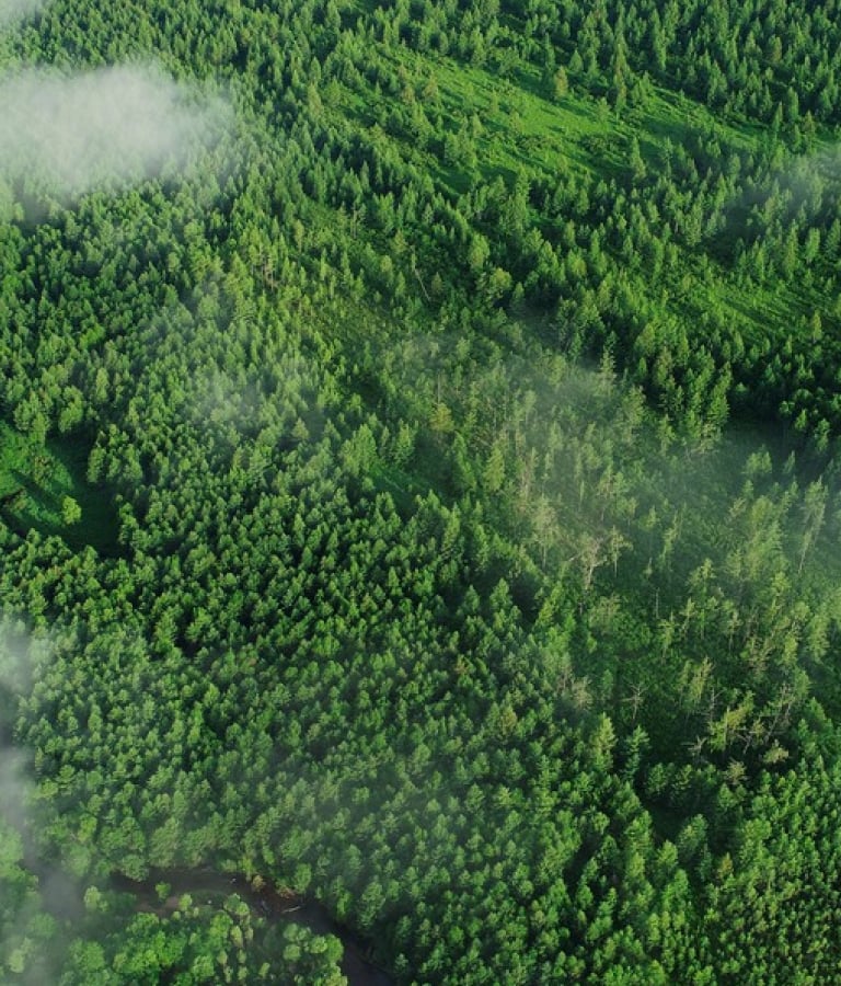 海洋之神·hy590(中国)最新官方网站